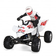 FS Racing 50801 1/10 27MHZ 2WD Nitro Powered ATV Remote Control Car Vehicles Model