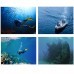 ROV POSEIDON Drone Underwater 1080P Camera Undersea Detection Underwater 50M/100M RC Submarine