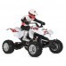 FS Racing 50801 1/10 27MHZ 2WD Nitro Powered ATV Remote Control Car Vehicles Model