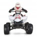 FS Racing 50801 1/10 27MHZ 2WD Nitro Powered ATV Remote Control Car Vehicles Model