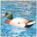 Flytec V201 2.4G 4CH Duck RC Boat Double Motor Hunting Motion Decoy Swimming Pool Floating Toys